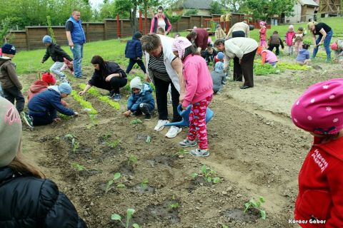 2017_09_06_cigánd_Ovi-kert (40)