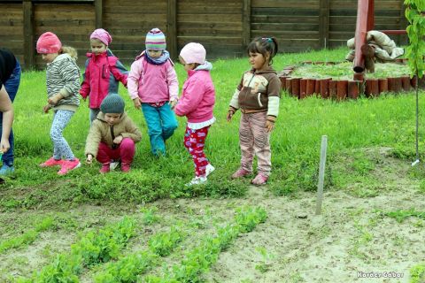 2017_09_06_cigánd_Ovi-kert (7)
