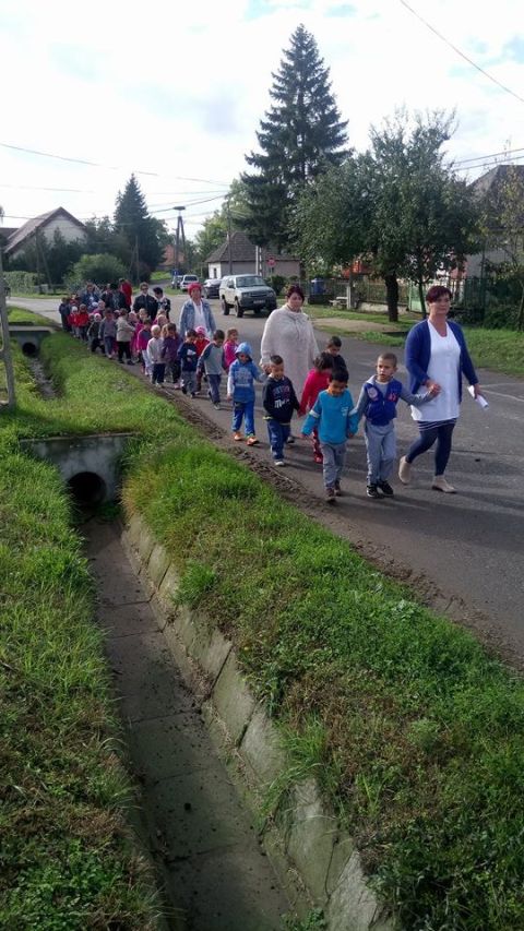 szüreti_mulatság_2017 (19)