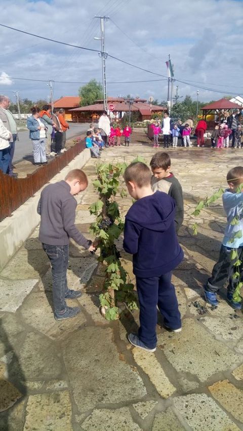 szüreti_mulatság_2017 (21)