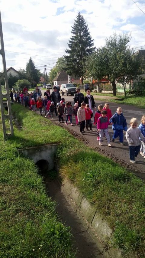 szüreti_mulatság_2017 (22)