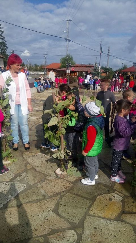szüreti_mulatság_2017 (23)