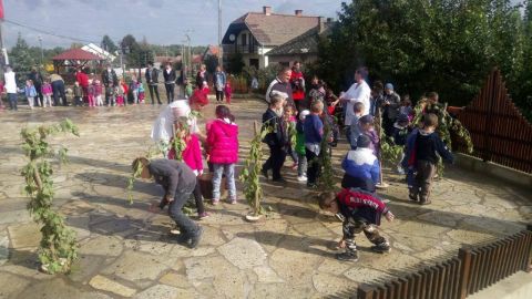 szüreti_mulatság_2017 (29)