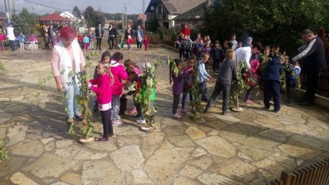 szüreti_mulatság_2017 (30)