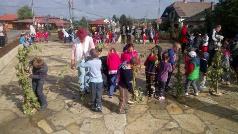 szüreti_mulatság_2017 (32)