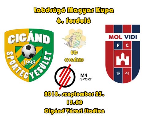 CISE vs Vidi