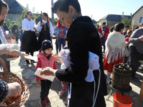 szüreti mulatság (170)