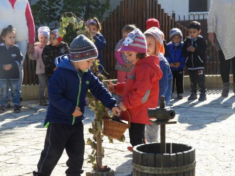 szüreti mulatság (70)
