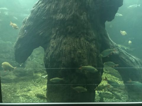 kirándulás ökocentrum tisza tavi (106)