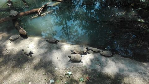 kirándulás ökocentrum tisza tavi (42)
